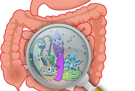 An illustration of the intestine and a magnify mirror zooming in on the bacteria and bugs